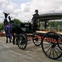 Horse drawn Carriage Hire   Disley 1084509 Image 8